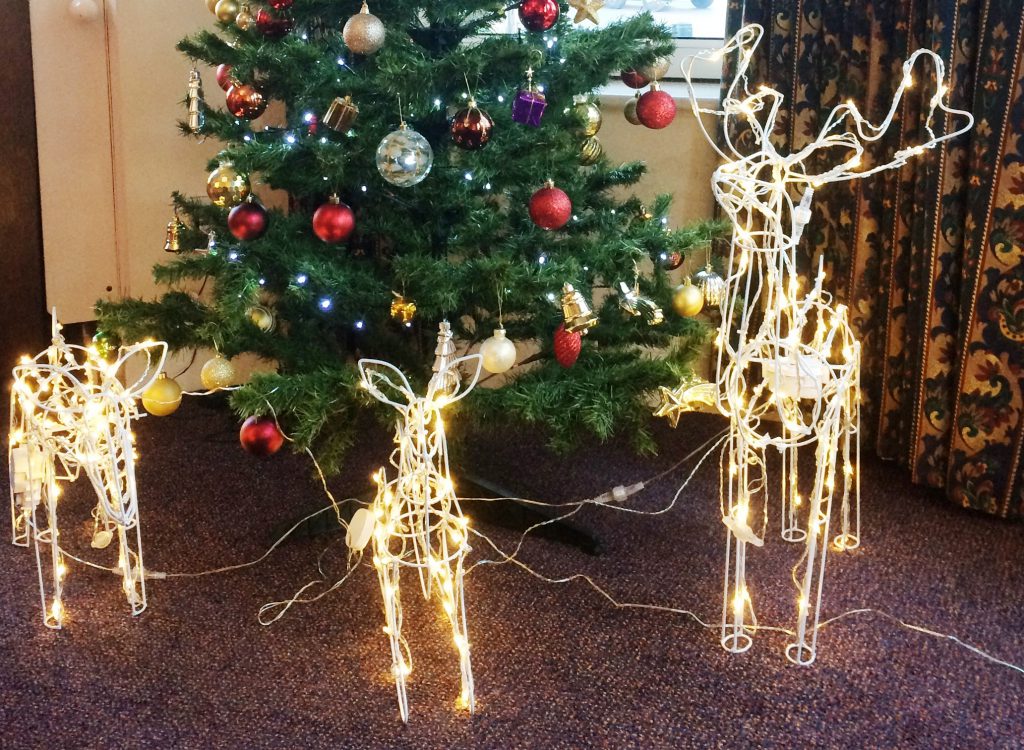 Visitors to Broadoaks for Christmas